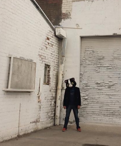 Portrait of the Author as a Cathead